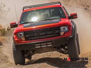 Ford SVT Raptor RXT Suspension System - Rear